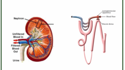 Hypertension and diuretics