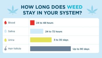 How Long Does Weed Stay In The Hair System?