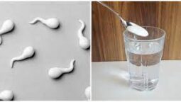what food kills sperm in the female body