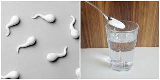 what food kills sperm in the female body