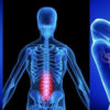 The Top Signs You Should See a Chiropractor