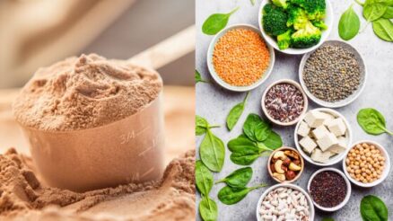 Navigating from Whey to Plant Protein