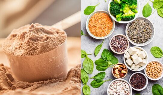 Navigating from Whey to Plant Protein