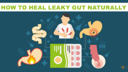 Understanding Leaky Gut Syndrome: Causes, Symptoms, and Healing Strategies