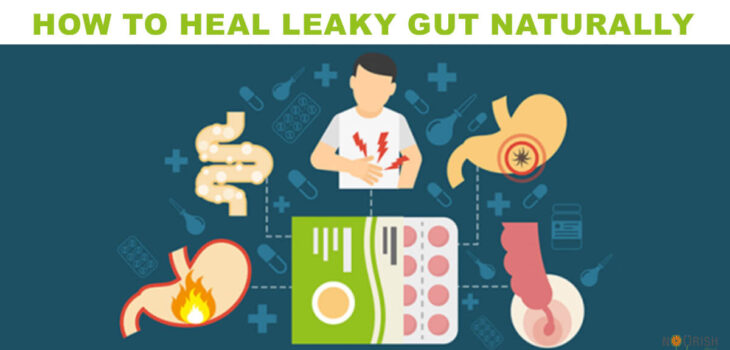 Understanding Leaky Gut Syndrome: Causes, Symptoms, and Healing Strategies