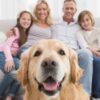 Ensuring Fair Treatment for Pet-Owning Tenants